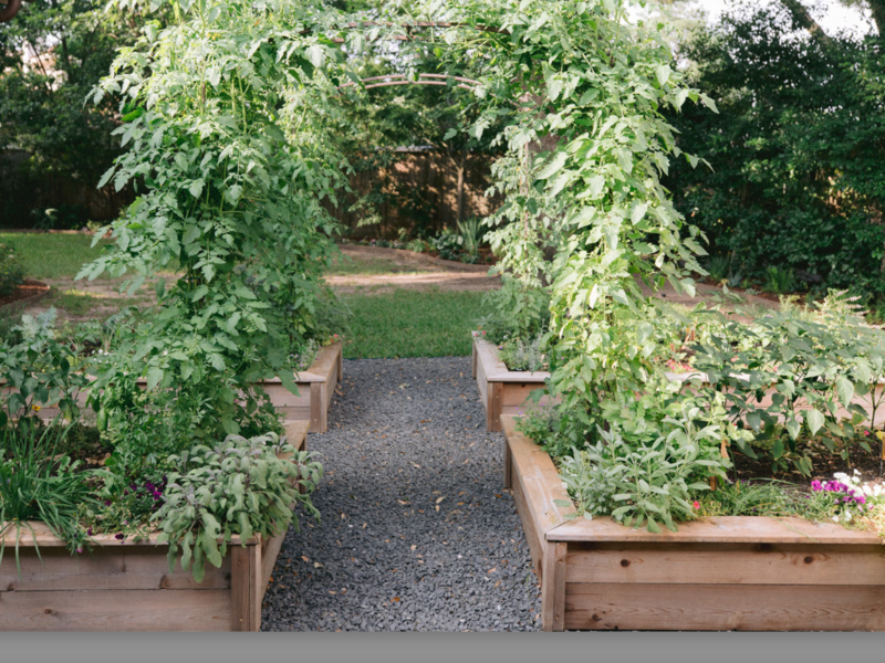 waxhaw-kitchen-garden-design-5