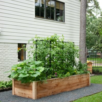 The Gwen Garden Package (1) 4 x 8 x 2 cedar garden and (3) Nicole Panels